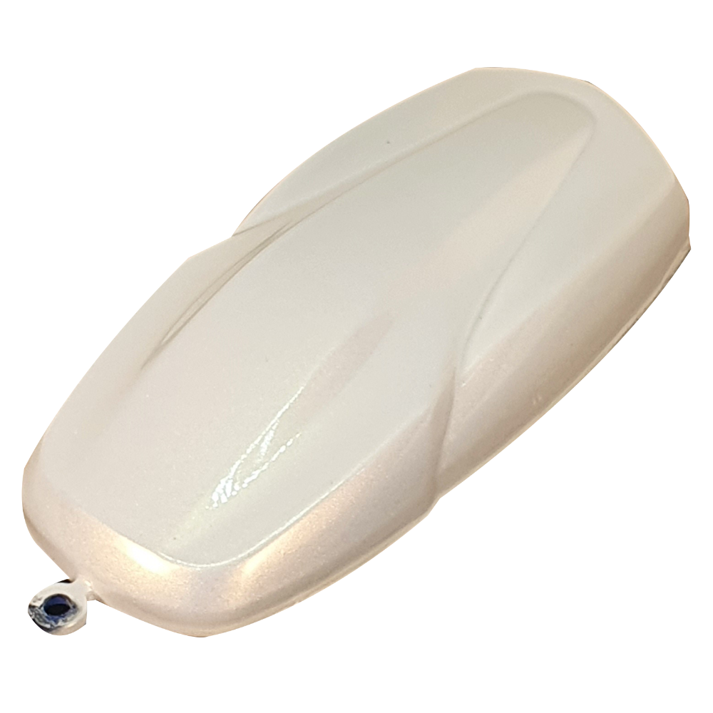 LC2X-12 Flash Gold (플래시 골드) 메탈릭 페인트